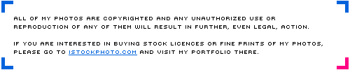 All my images are copyrighted. If you want to buy stock licenses or fine prints of my photos please visit www.istockphoto.com